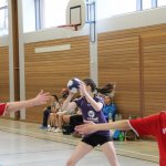 2017_02_19 Landesliga Frauen und Jugend 19